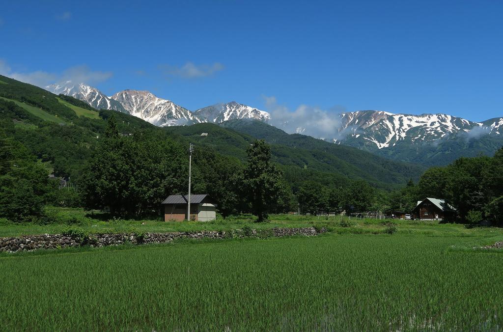 Agi